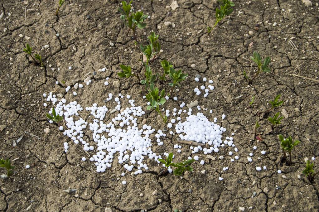 上半年对应农需旺季 尿素期货盘面表现仍较为坚挺