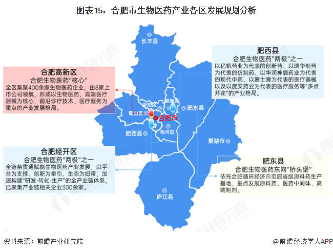 图表15：合肥市生物医药产业各区发展规划分析