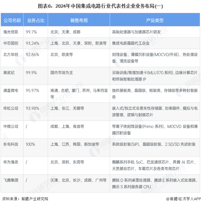 图表6：2024年中国集成电路行业代表性企业业务布局(一)
