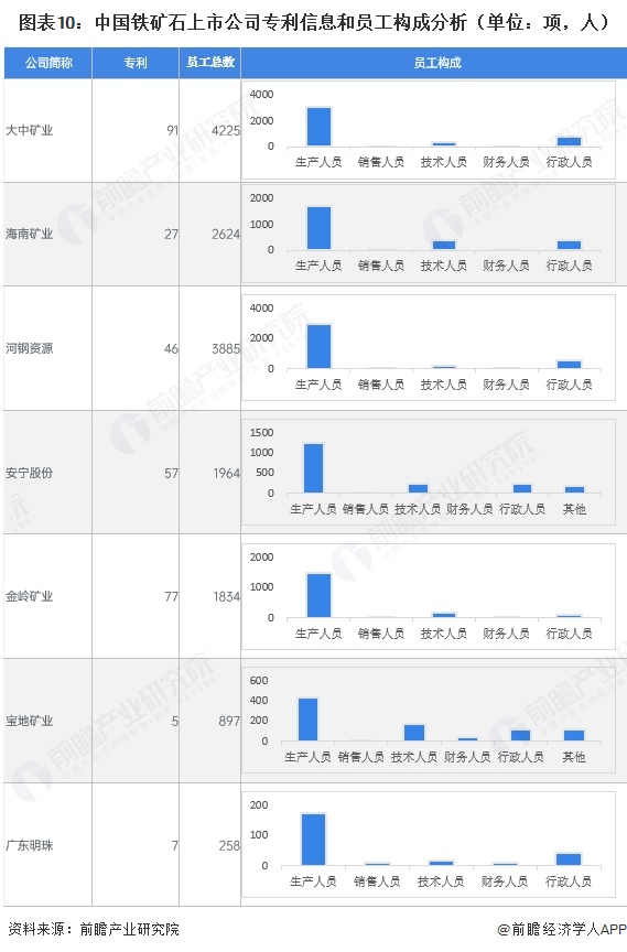 图表10：中国铁矿石上市公司专利信息和员工构成分析（单位：项，人）