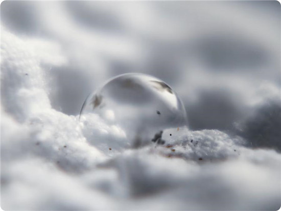 雪地上的鸟

中度可信度描述已自动生成