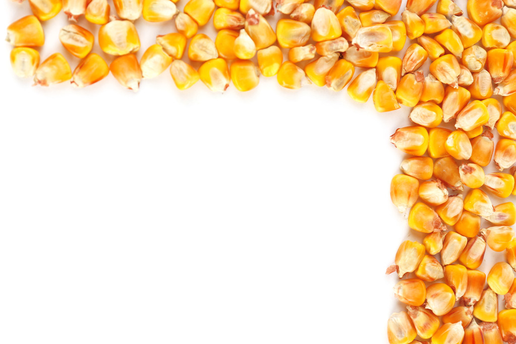 市场供应忧虑加重 玉米期价或将持续筑底