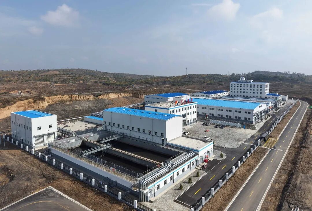 113_12_1772155513.jpeg?wx_fmt=jpegfrom=appmsg