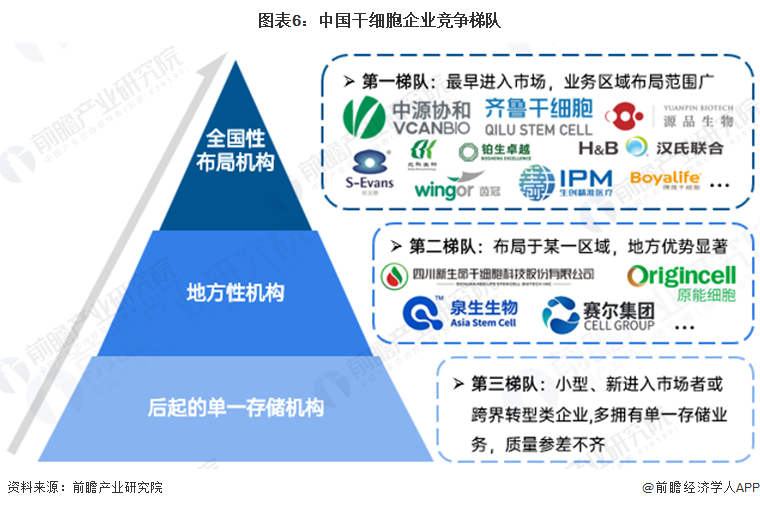 图表6：中国干细胞企业竞争梯队