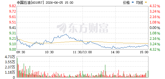 R图 601857_0
