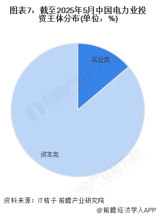 图表7：截至2025年5月中国电力业投资主体分布(单位：%)