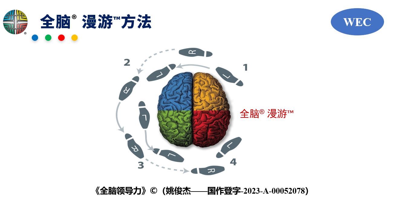 全脑领导力