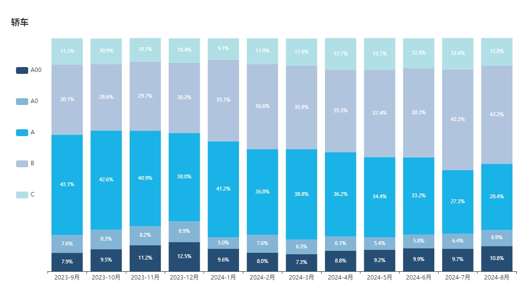 轿车各级别车型销量占比.png