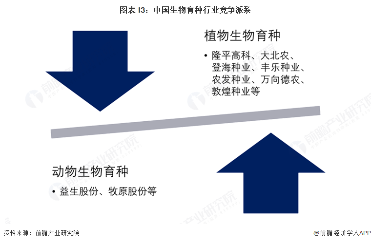 图表13：中国生物育种行业竞争派系