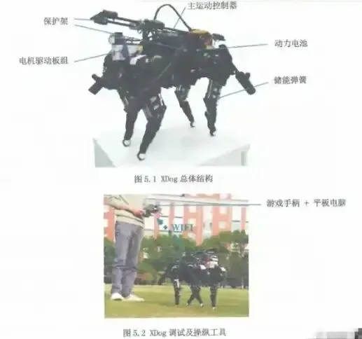 c2230fbbc293967cf0773d486c0c8039.jpeg