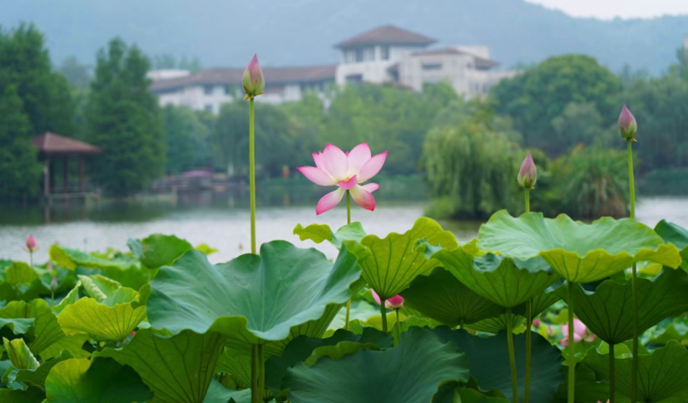 微信图片_20250616233801.png