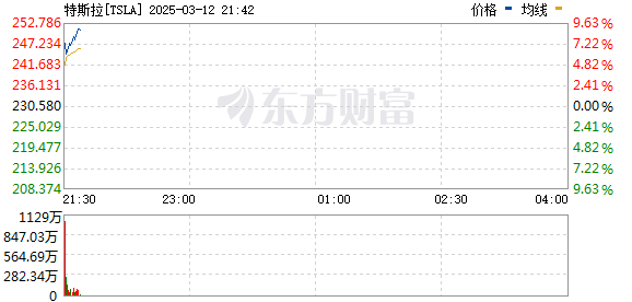 R图 TSLA_0