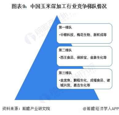 图表9：中国玉米深加工行业竞争梯队情况