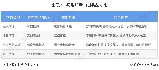 图表2：病理诊断项目类型对比