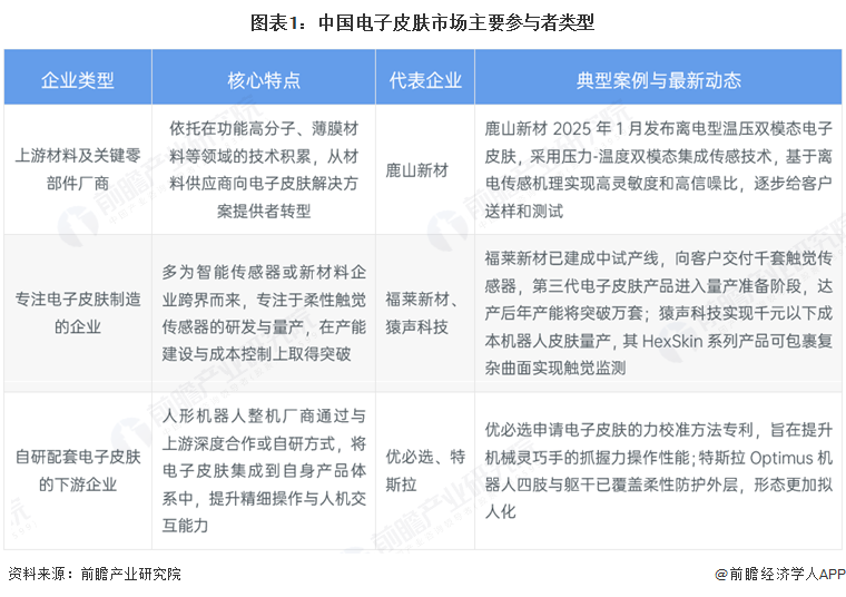图表1：中国电子皮肤市场主要参与者类型