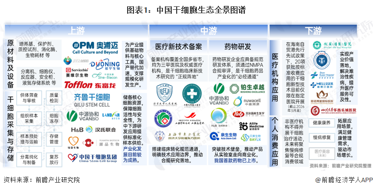 图表1：中国干细胞生态全景图谱