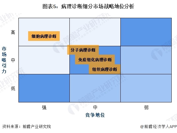 图表5：病理诊断细分市场战略地位分析