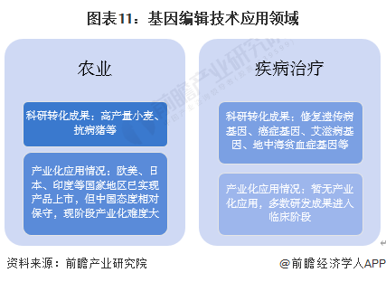 图表11：基因编辑技术应用领域