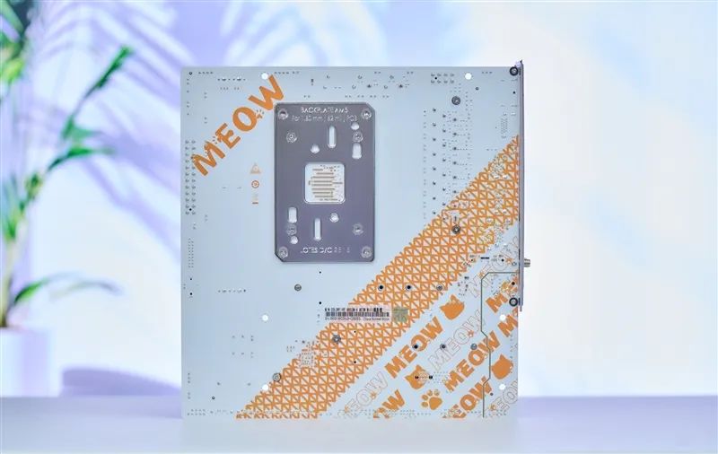 NVIDIA RTX 5050首发评测：DLSS4/AI/生产力全方面飞跃 完美替代RTX 3050