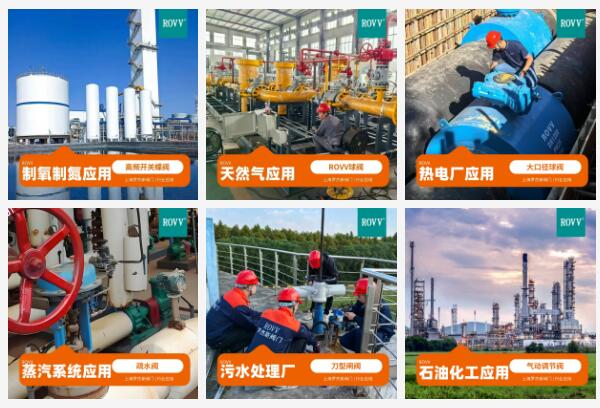 上海罗杰斯阀门荣获2025年上海市专精特新企业称号