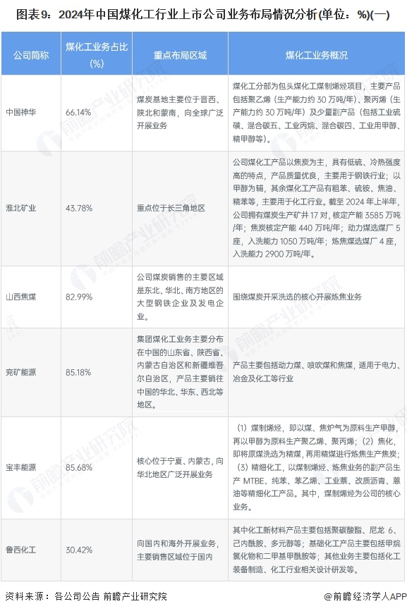 图表9：2024年中国煤化工行业上市公司业务布局情况分析(单位：%)(一)