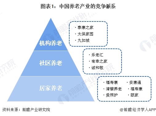 图表1：中国养老产业的竞争派系