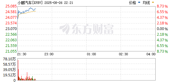 R图 XPEV_0