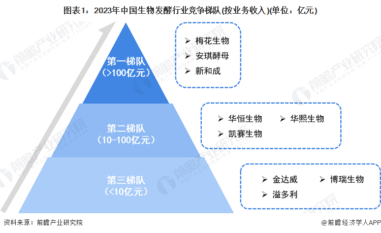 图表1：2023年中国生物发酵行业竞争梯队(按业务收入)(单位：亿元)