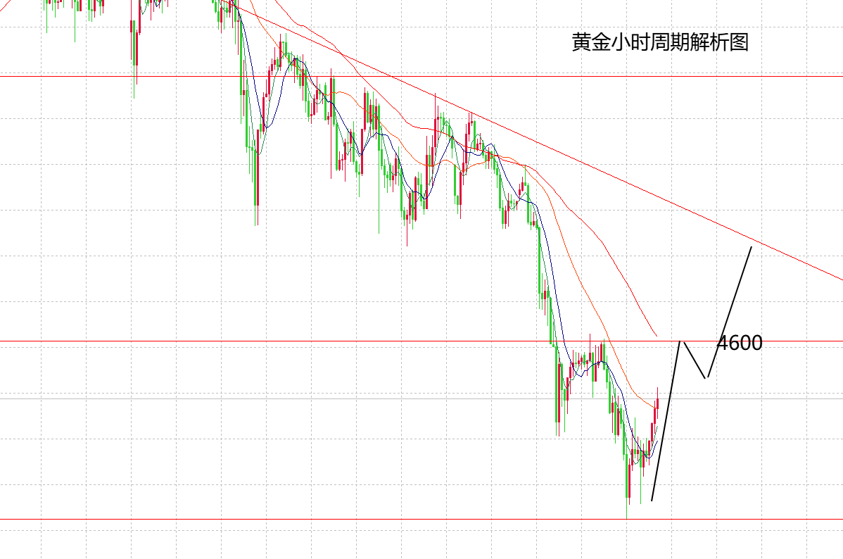 7b8fc106-10fb-490a-acca-9c987bc97737.png