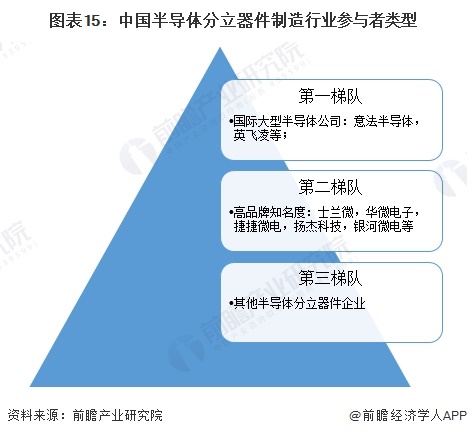 图表15：中国半导体分立器件制造行业参与者类型