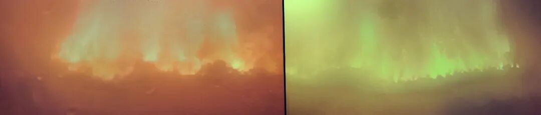 113_3_1775101227.jpeg?wx_fmt=jpeg