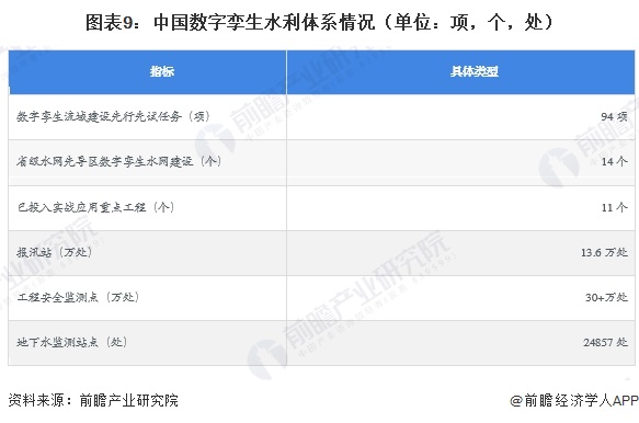 图表9：中国数字孪生水利体系情况（单位：项，个，处）