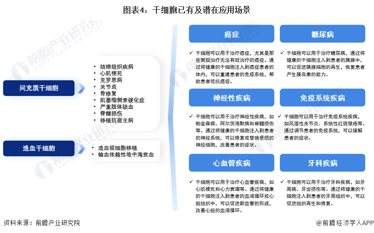 图表4：干细胞已有及潜在应用场景