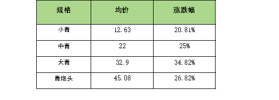 4d94c29bf18d407696cdddea48fb5519.png