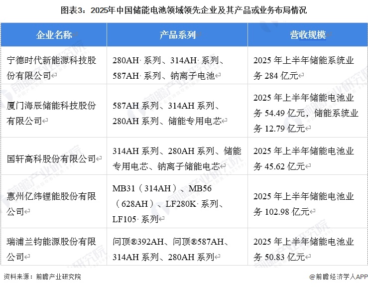 图表3：2025年中国储能电池领域领先企业及其产品或业务布局情况