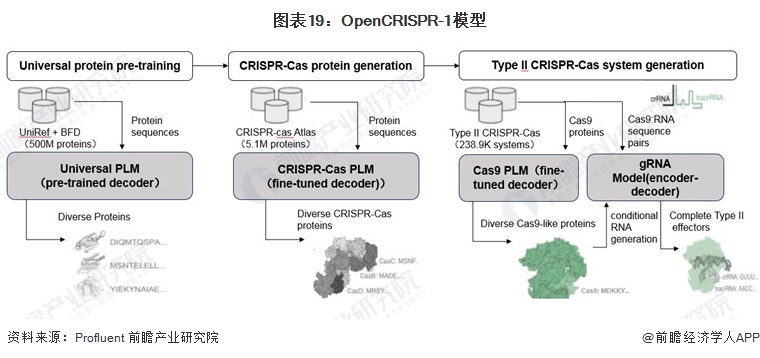 图表19：OpenCRISPR-1模型