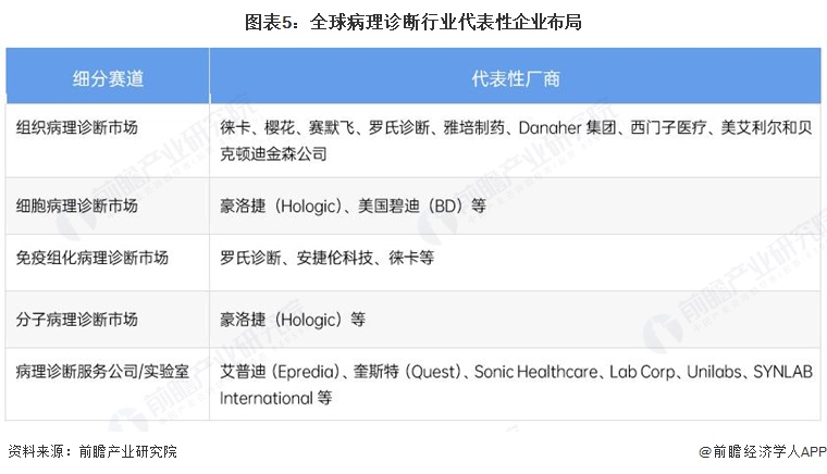 图表5：全球病理诊断行业代表性企业布局