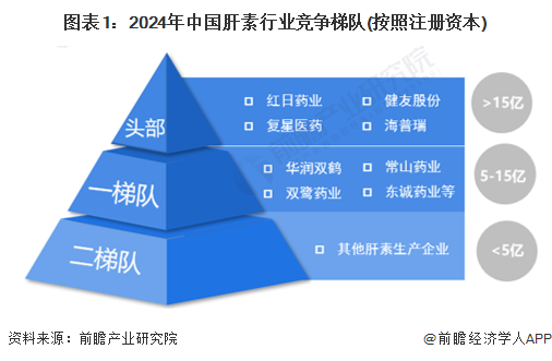 图表1：2024年中国肝素行业竞争梯队(按照注册资本)