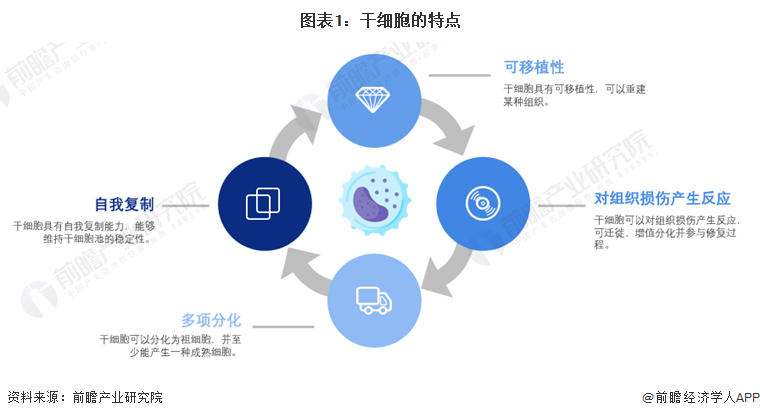 图表1：干细胞的特点