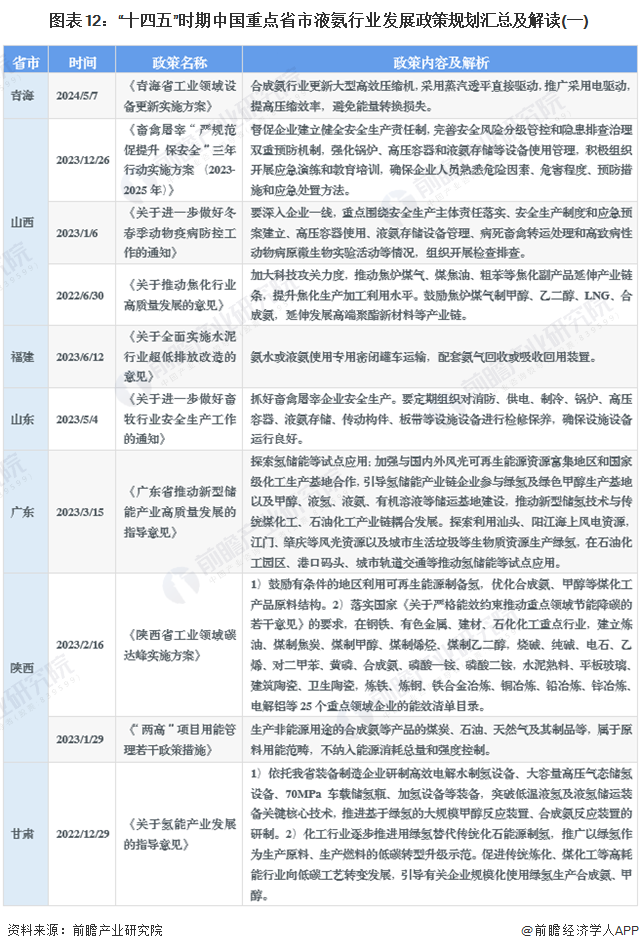 图表12：“十四五”时期中国重点省市液氨行业发展政策规划汇总及解读(一)