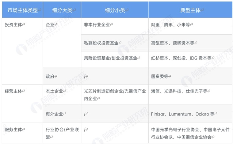 图表1：中国光电芯片行业市场主体类型构成