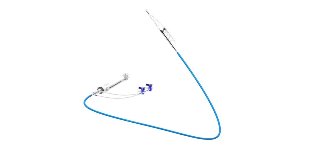 1774503627562059871.jpg 268bea2164b435fb3b3bfef719a7b182.jpg