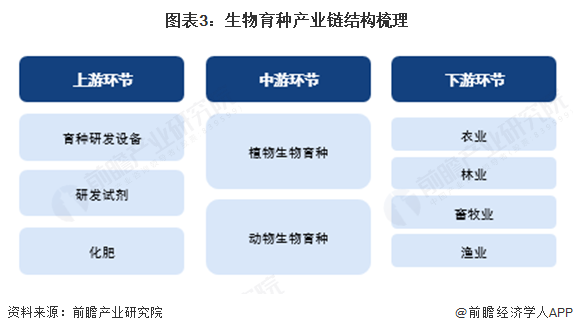 图表3：生物育种产业链结构梳理