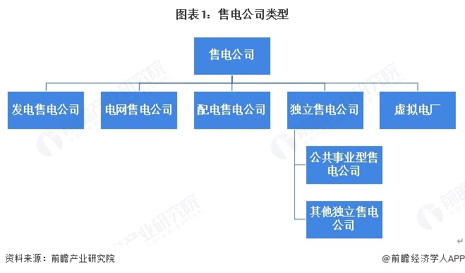 图表1：售电公司类型