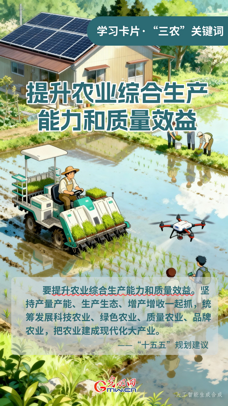 学习卡片·“三农”关键词丨提升农业综合生产能力和质量效益