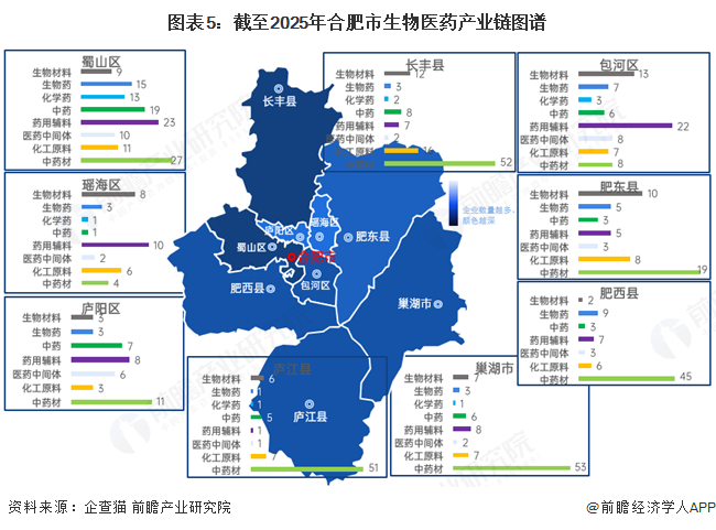 图表5：截至2025年合肥市生物医药产业链图谱