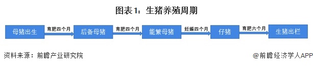 图表1：生猪养殖周期