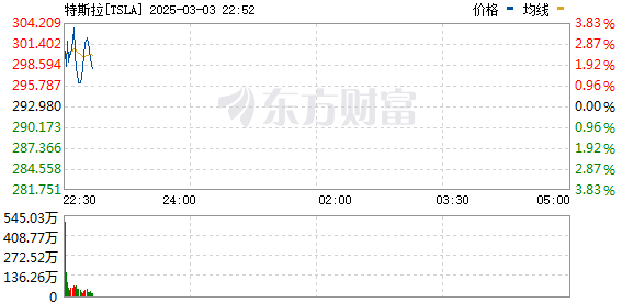 R图 TSLA_0