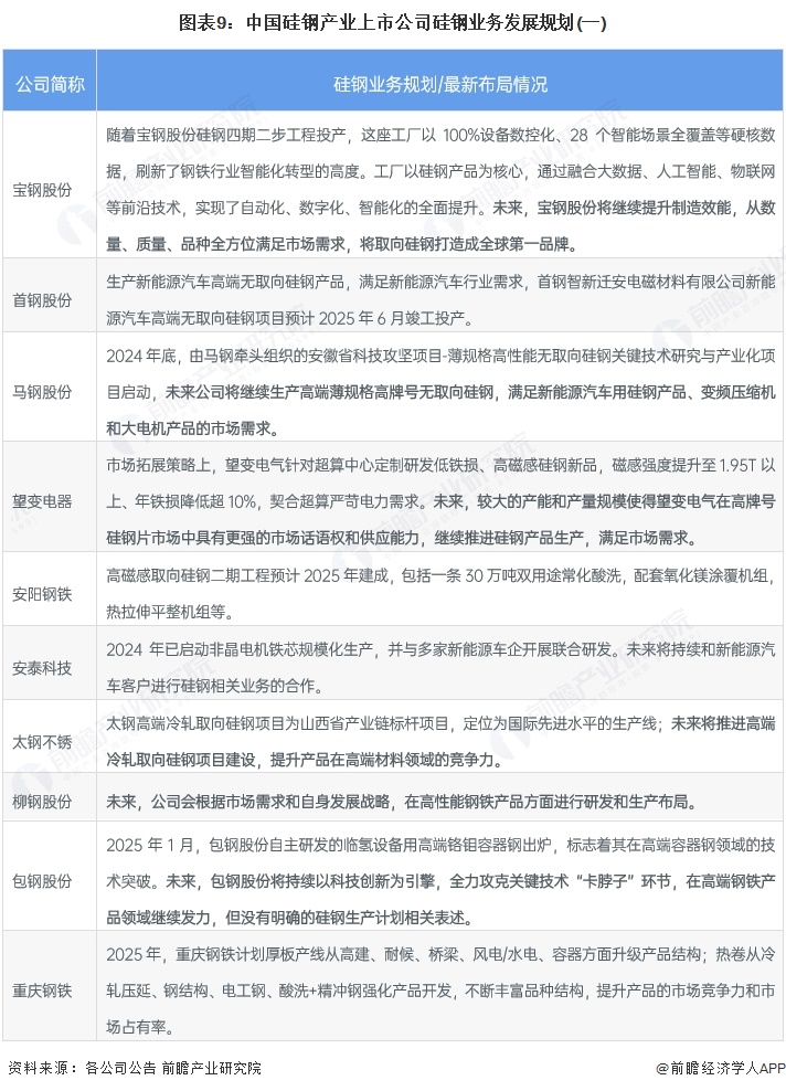 图表9：中国硅钢产业上市公司硅钢业务发展规划(一)