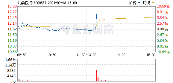 R图 600053_0